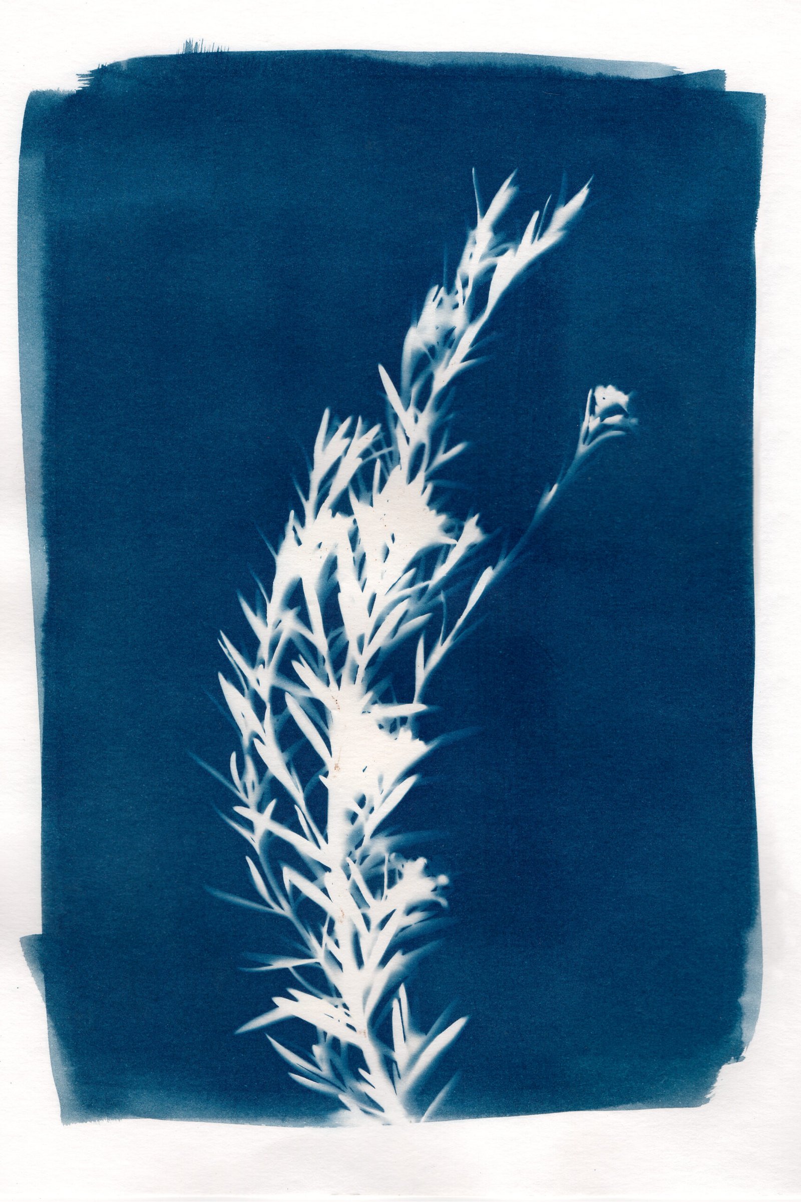 Romero-serie-flora-Maria-Martin-Bolanos