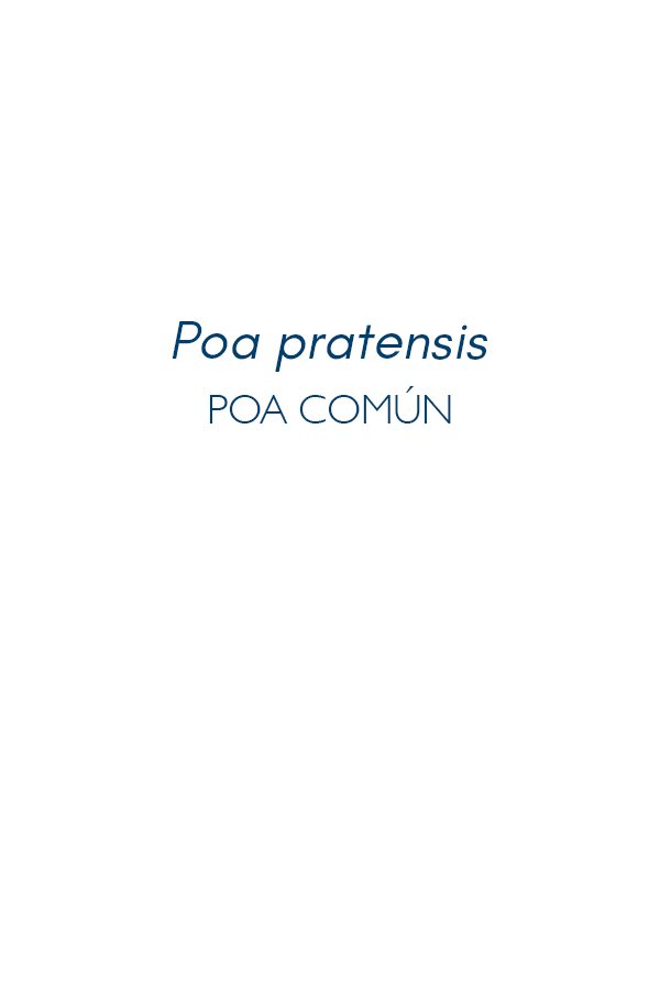 Titulo-poa-comun-serie-Flora-Maria-Martin-Bolanos